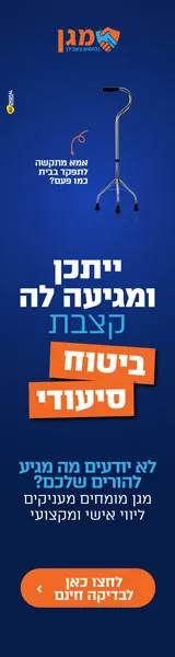 מגן אנכי
