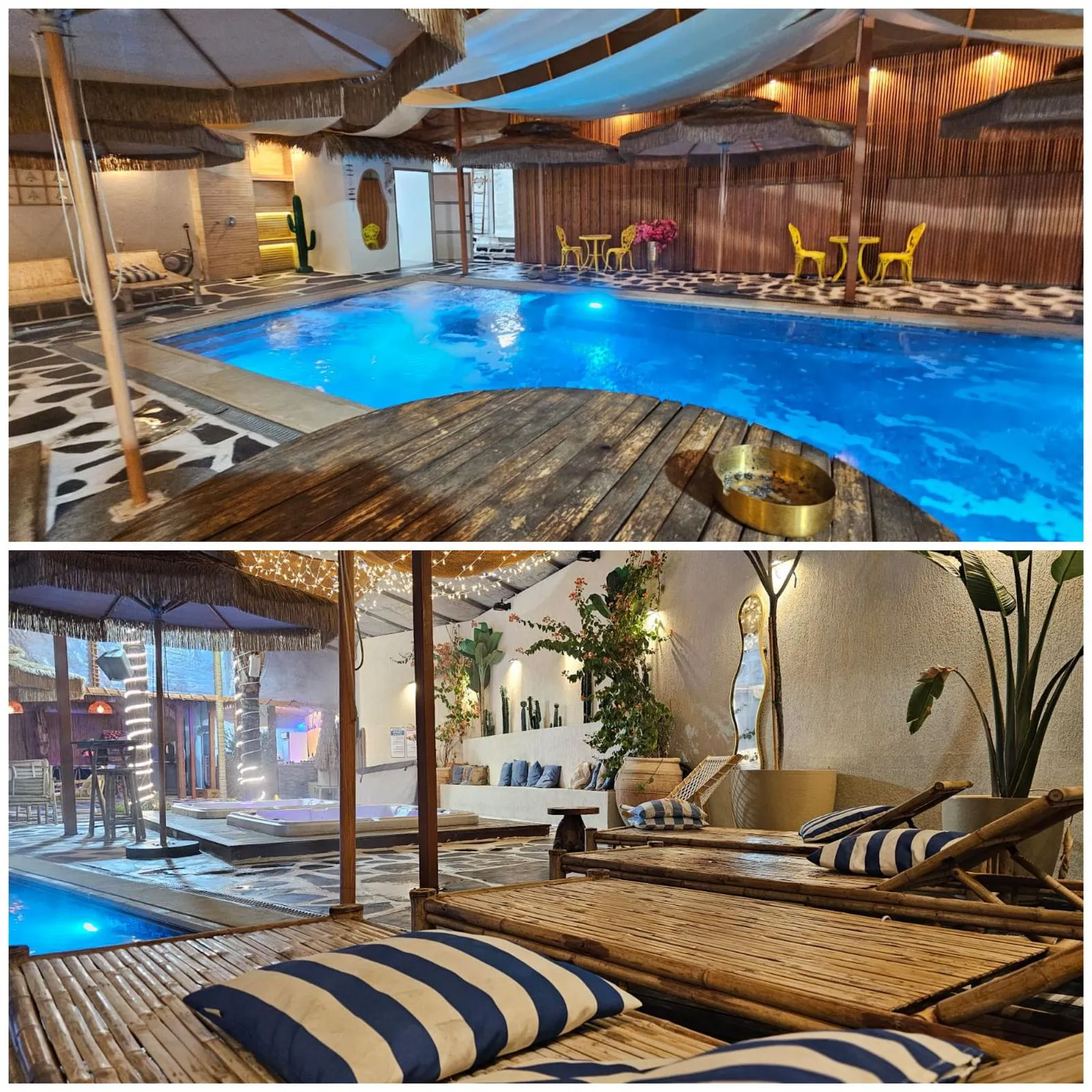 מראות מהערב המיוחד