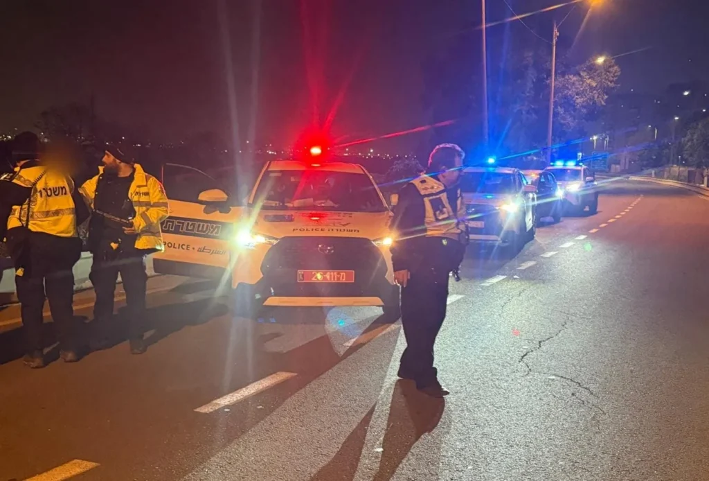 פעילות המשטרה