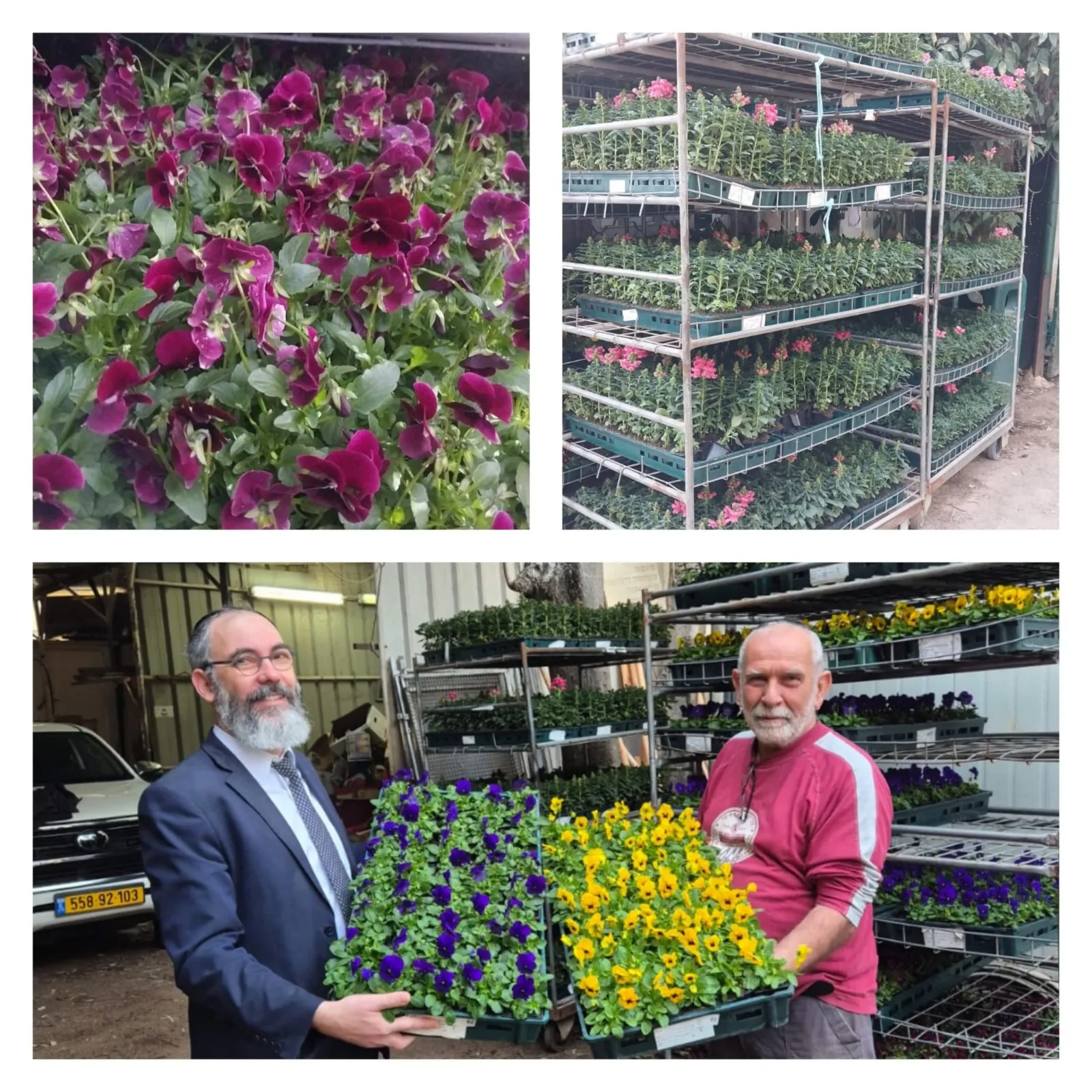 מנהל מחלקת גני ילדים הרב יוסף ומנהל מחלקת נטיעות צביקה פוזננסקי