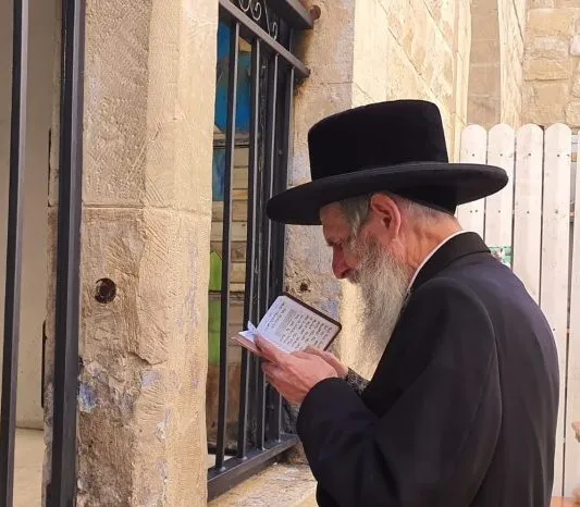 האדמו"ר מסלאנים שליט"א