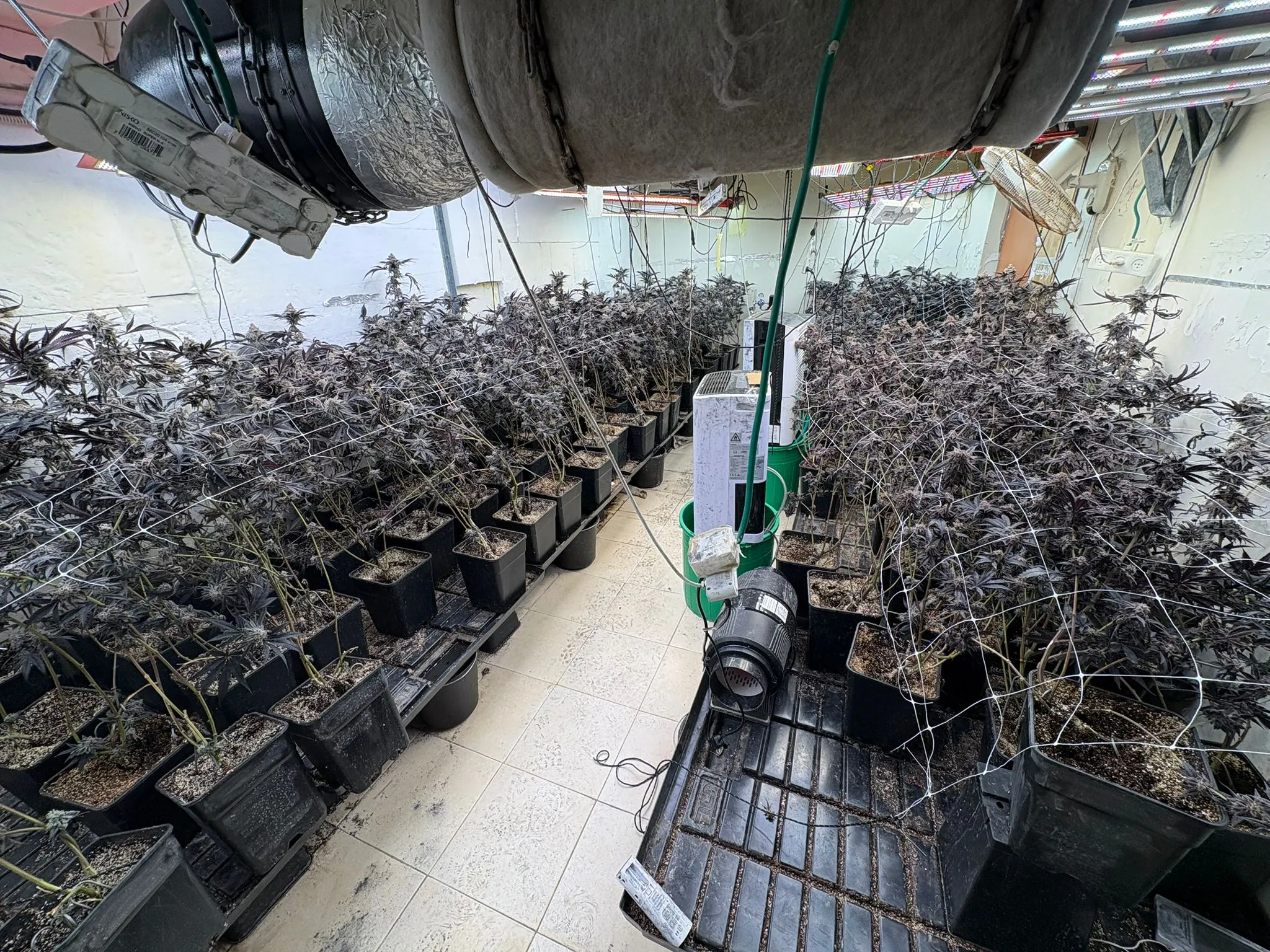 הדירה שנתפסה