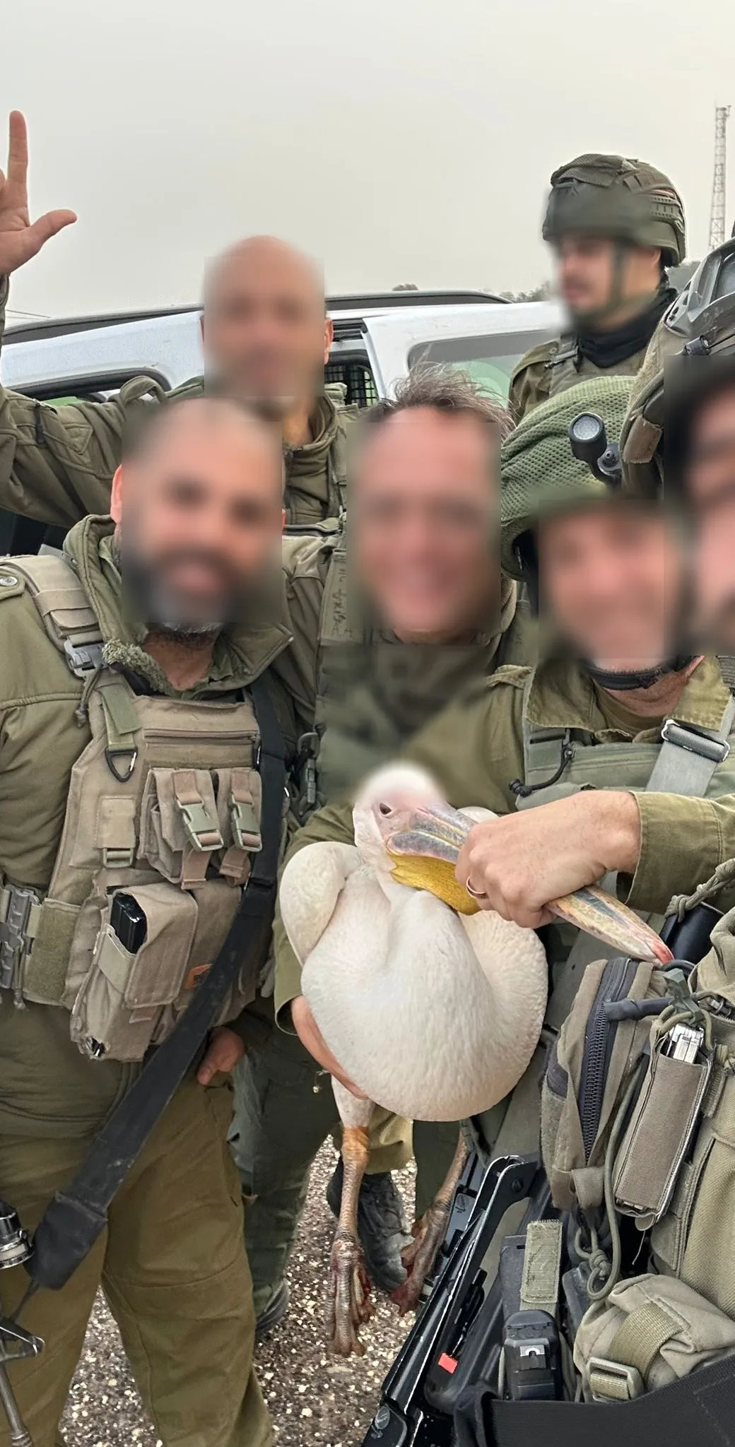 הפעילות בזירה