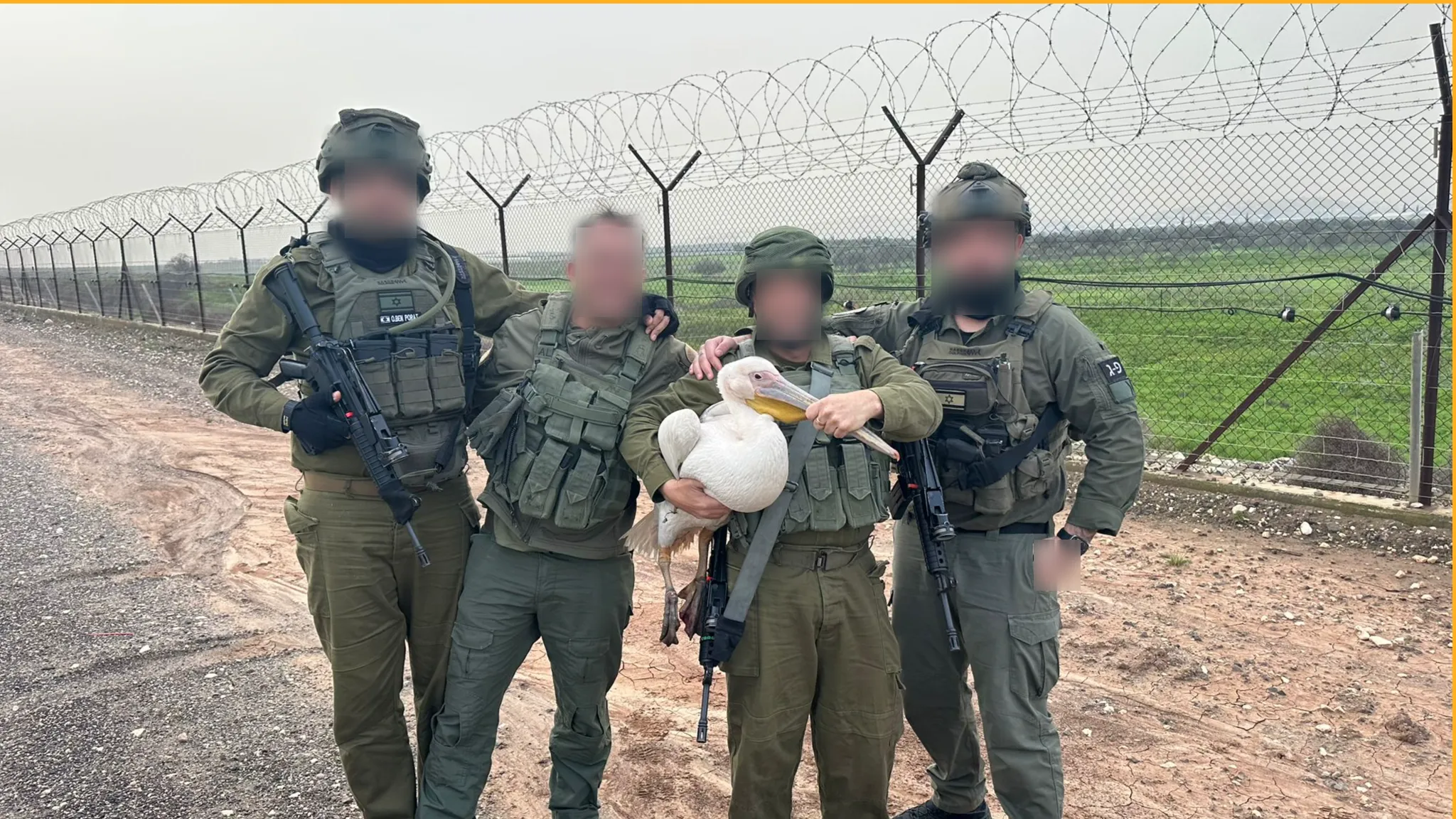 הפעילות בזירה