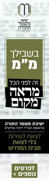 באנר אנכי