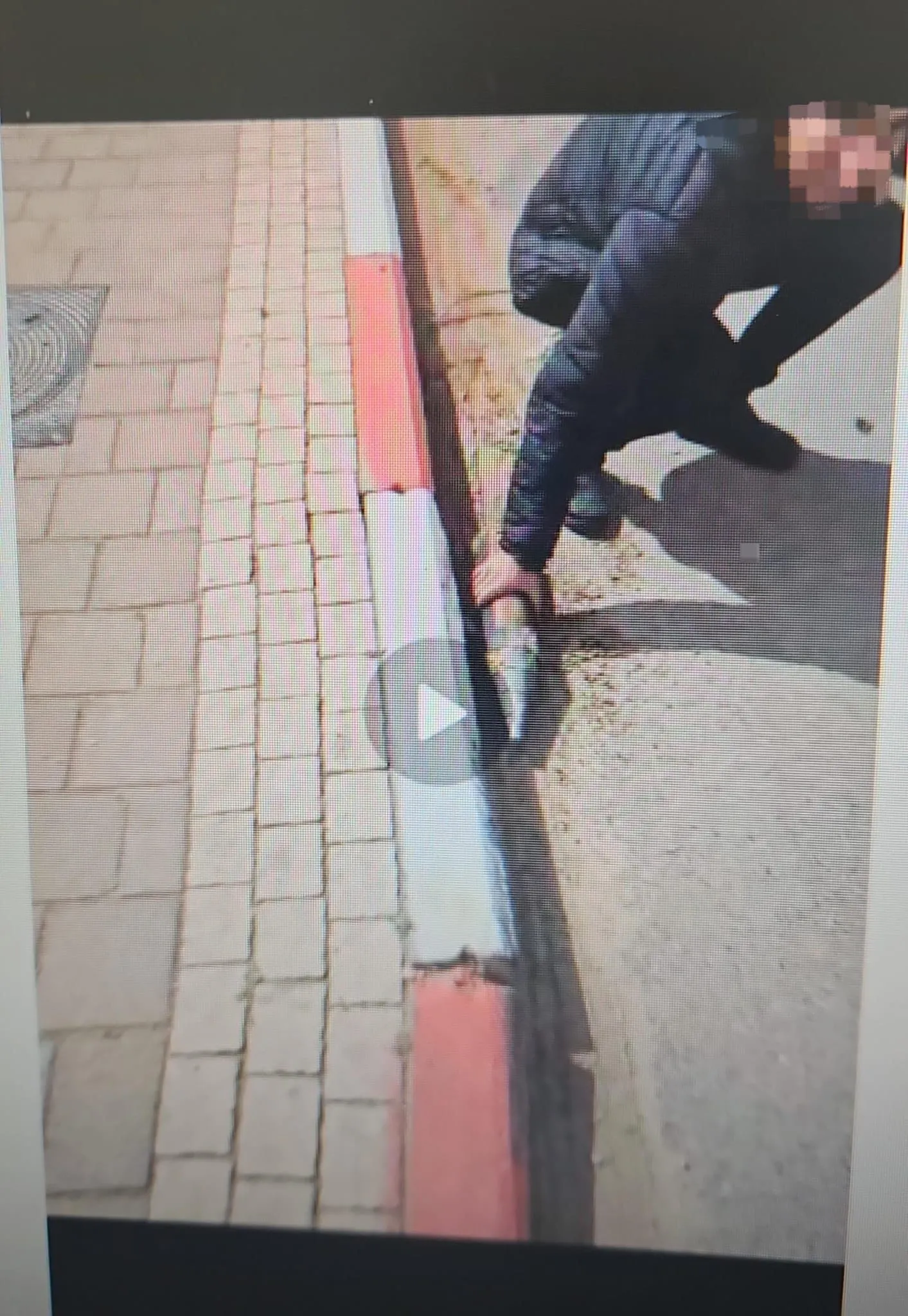 האזרח אוסף את הרסיס