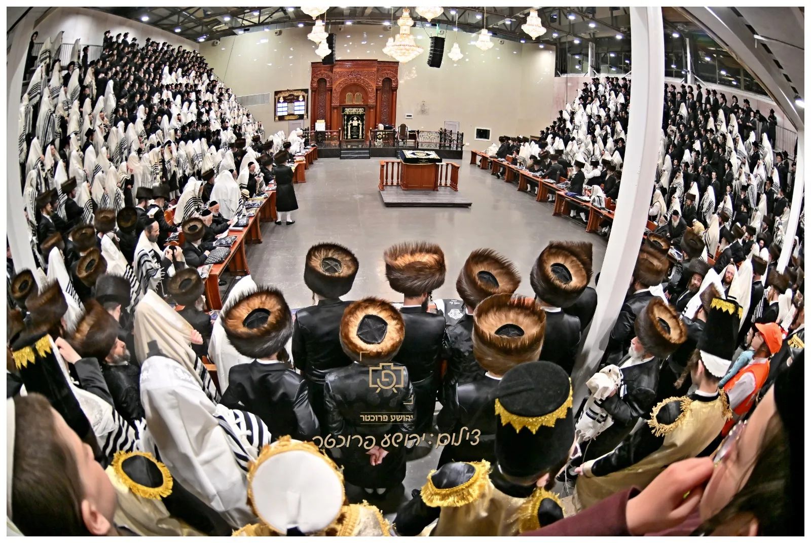 פורים בויזניץ