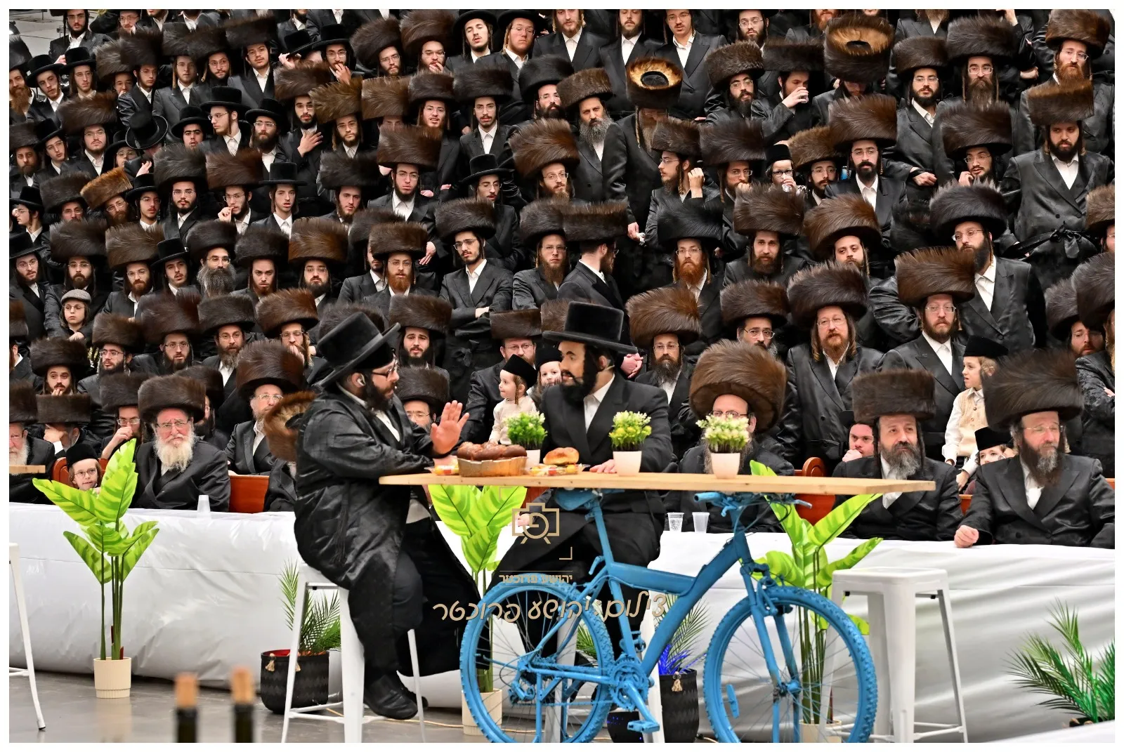 פורים בויזניץ