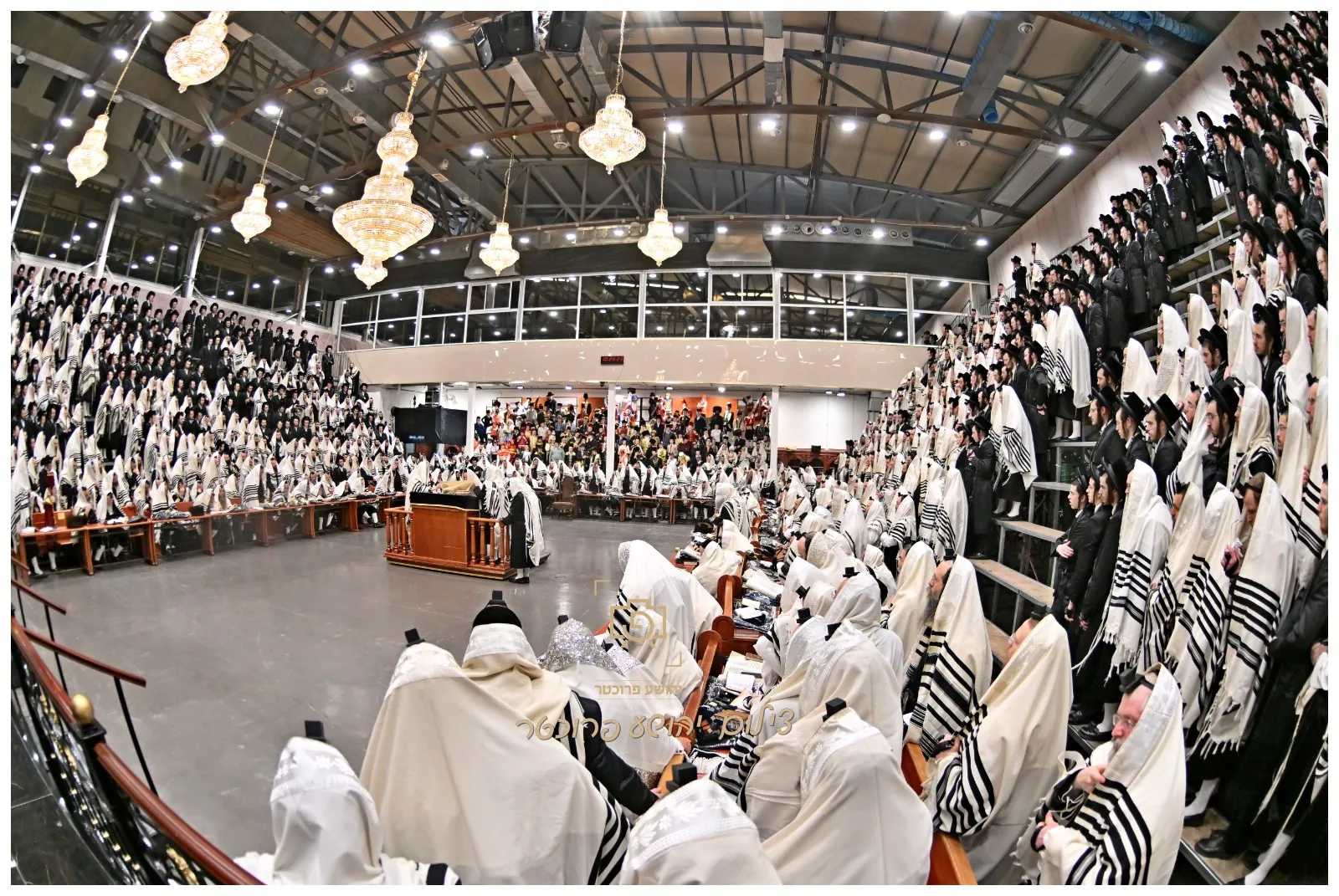 פורים בויזניץ