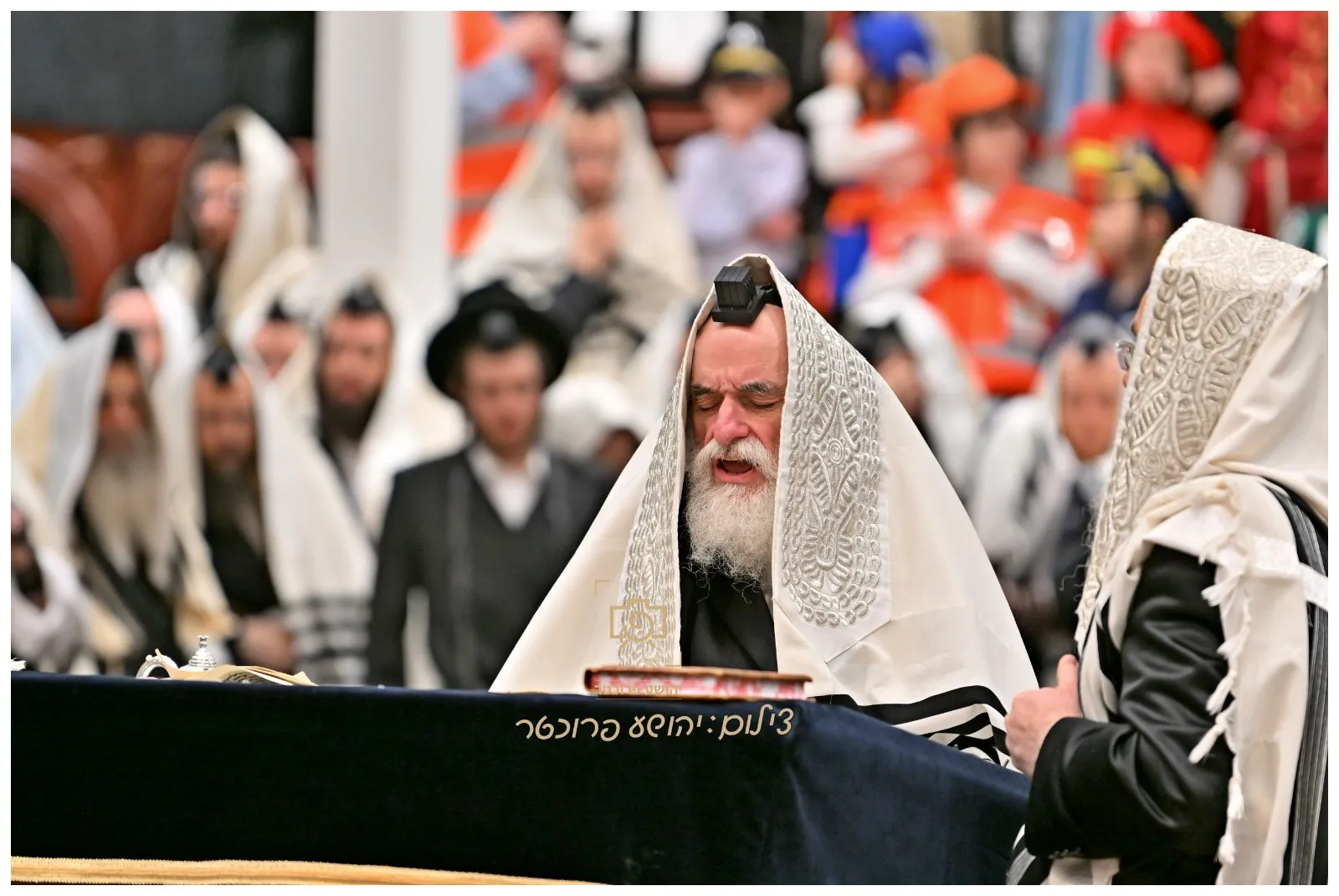 פורים בויזניץ