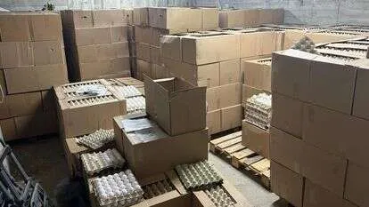 תבניות הביצים בחניון