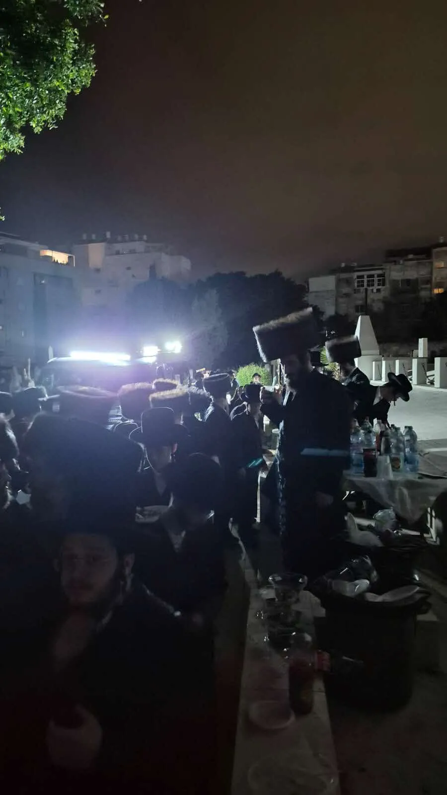 העליה לציונו של רבי נפתלי חנהלס