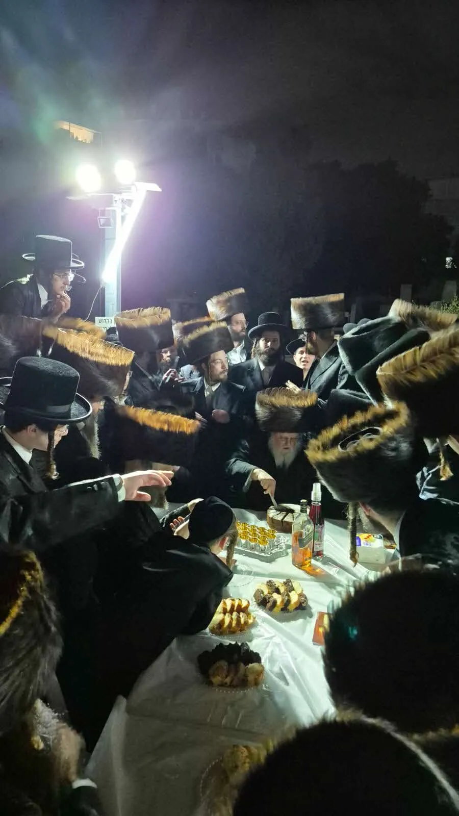 העליה לציונו של רבי נפתלי חנהלס