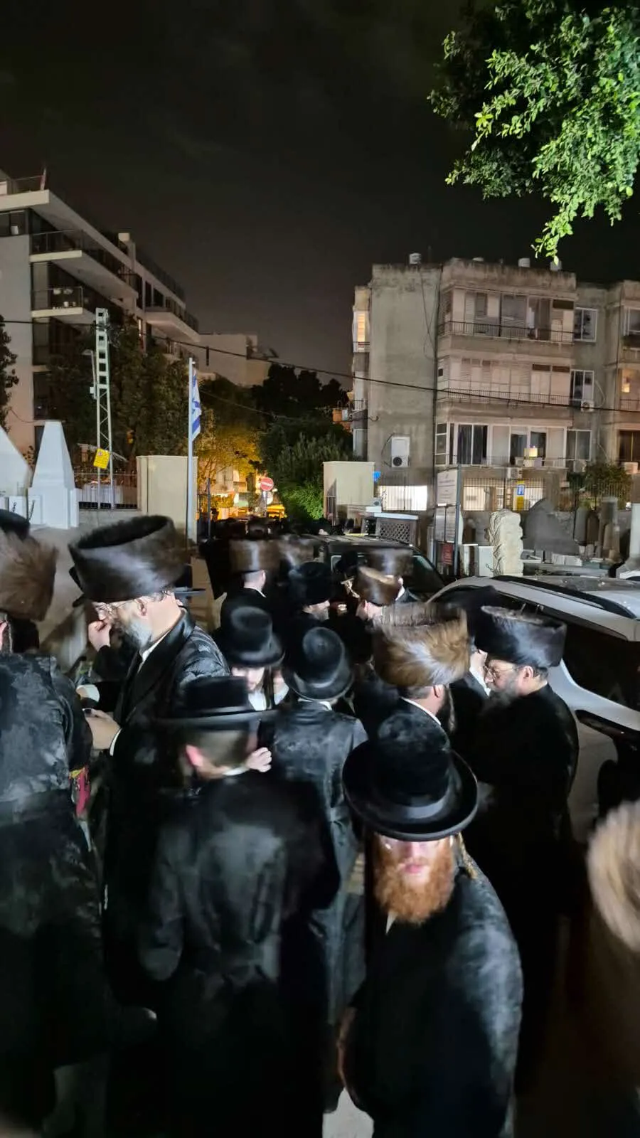 העליה לציונו של רבי נפתלי חנהלס