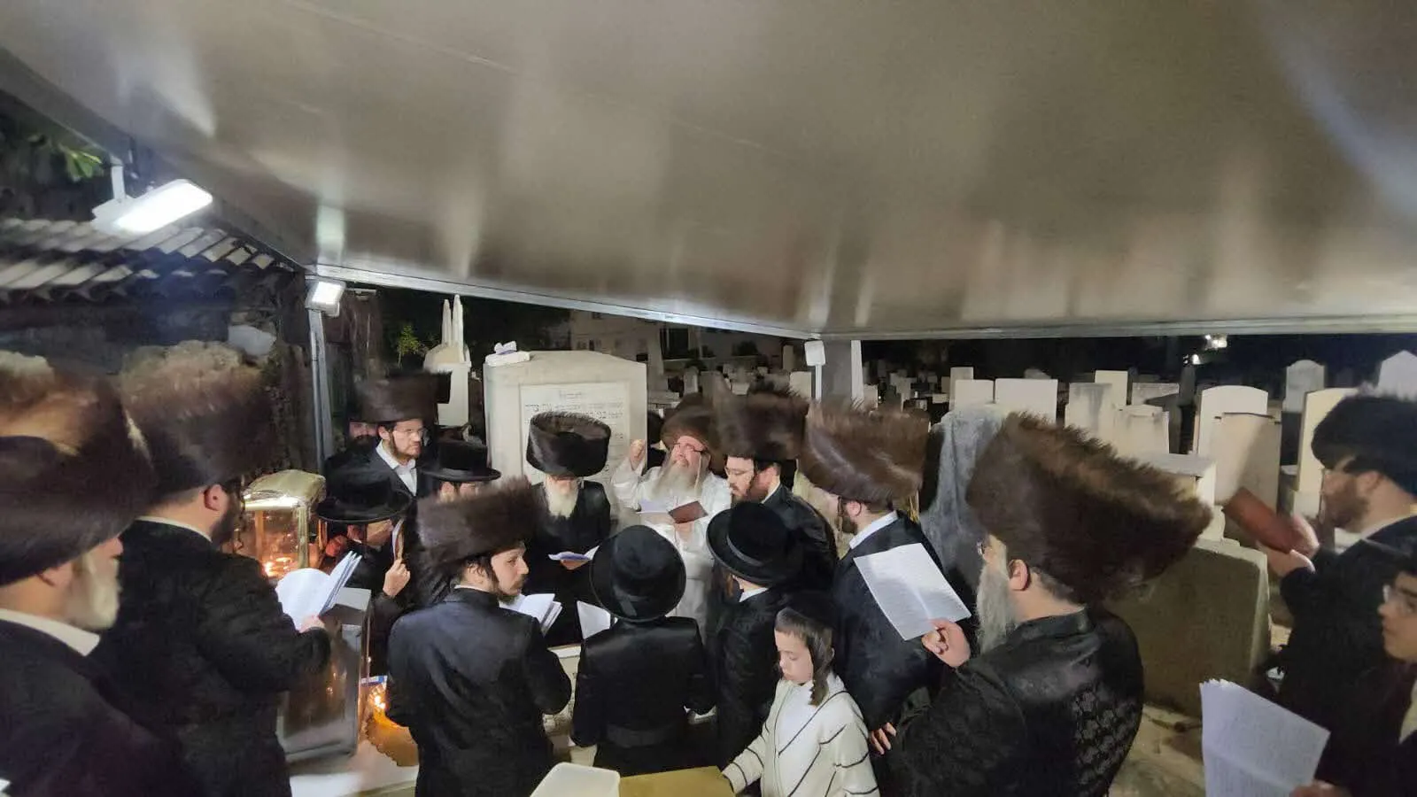 העליה לציונו של רבי נפתלי חנהלס