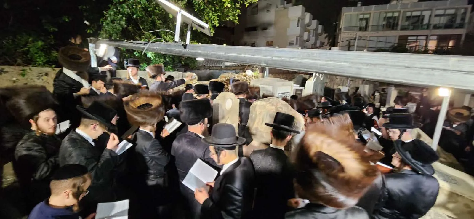 העליה לציונו של רבי נפתלי חנהלס