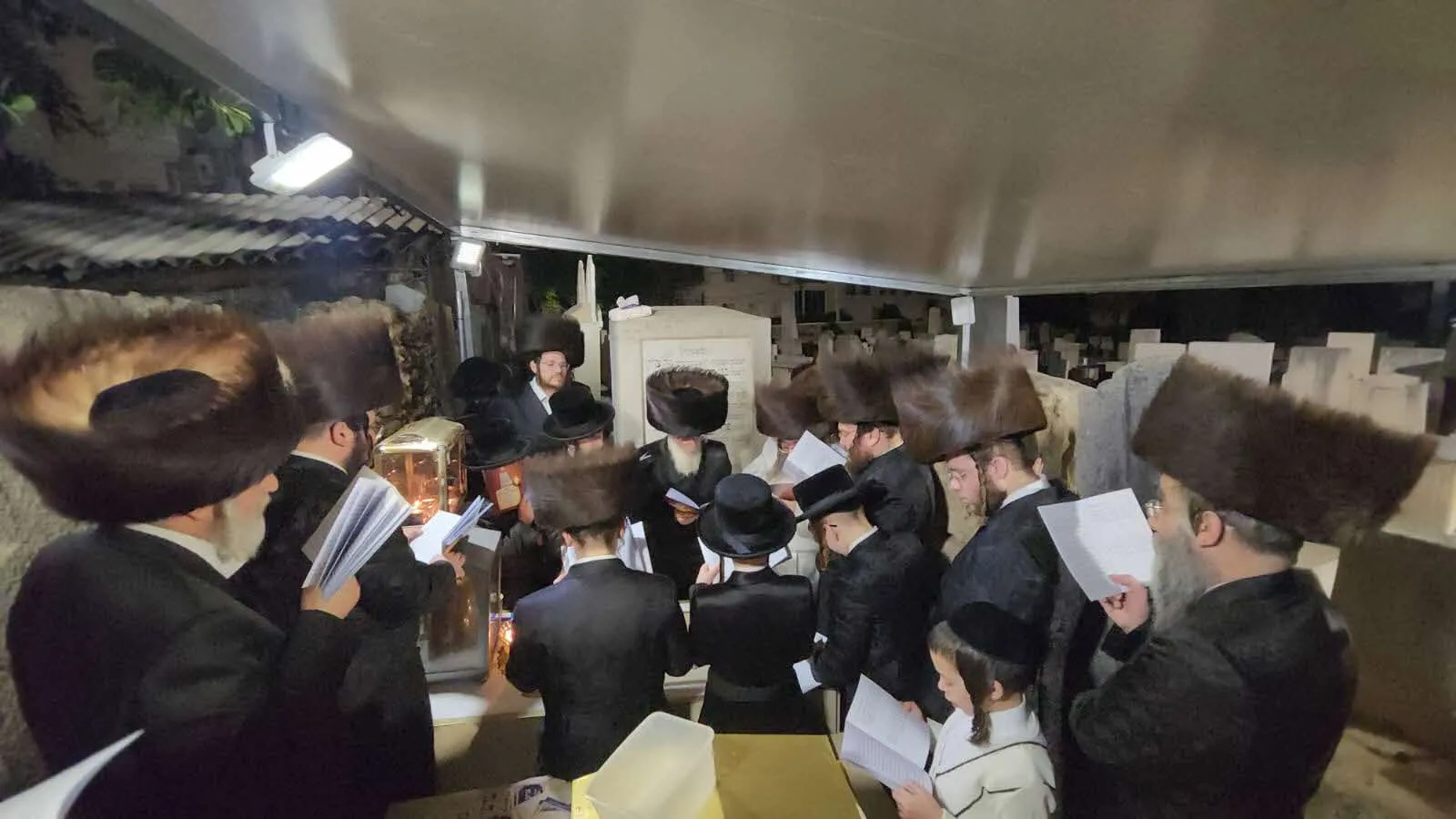 העליה לציונו של רבי נפתלי חנהלס