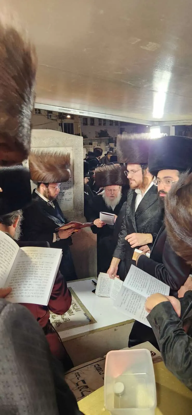 העליה לציונו של רבי נפתלי חנהלס