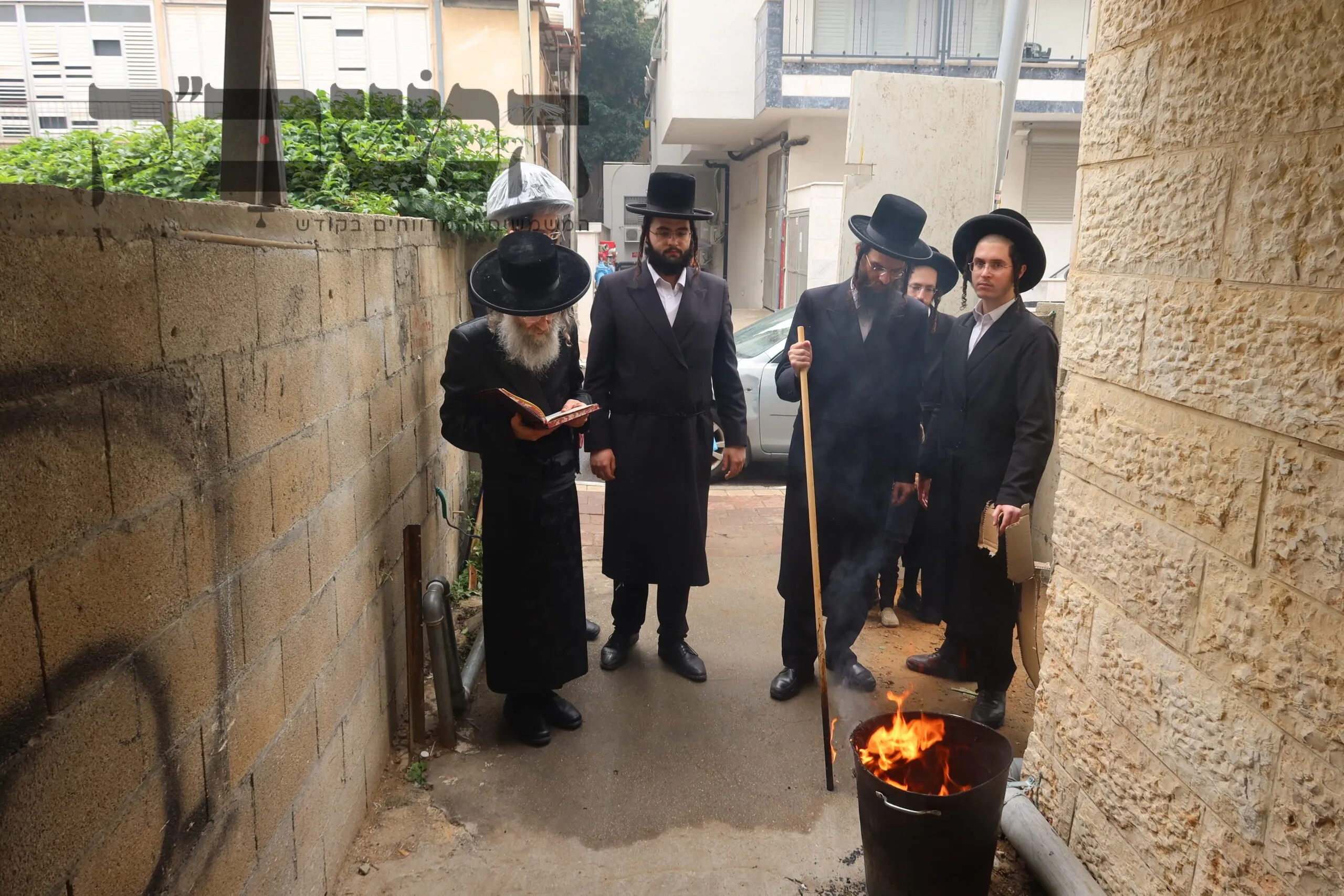 'חַגִּים וּזְמַנִּים לְששון': תיעוד מסכם חג הפסח במחיצת המשפיע הרה