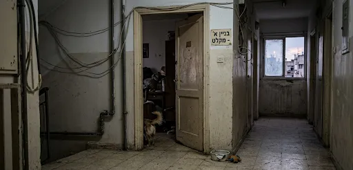 הזנחה. אילוסטרציה