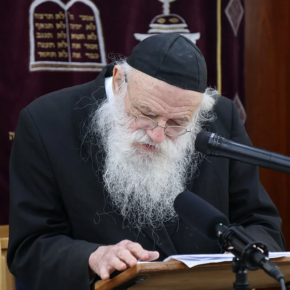 רבי מאיר גריינמן