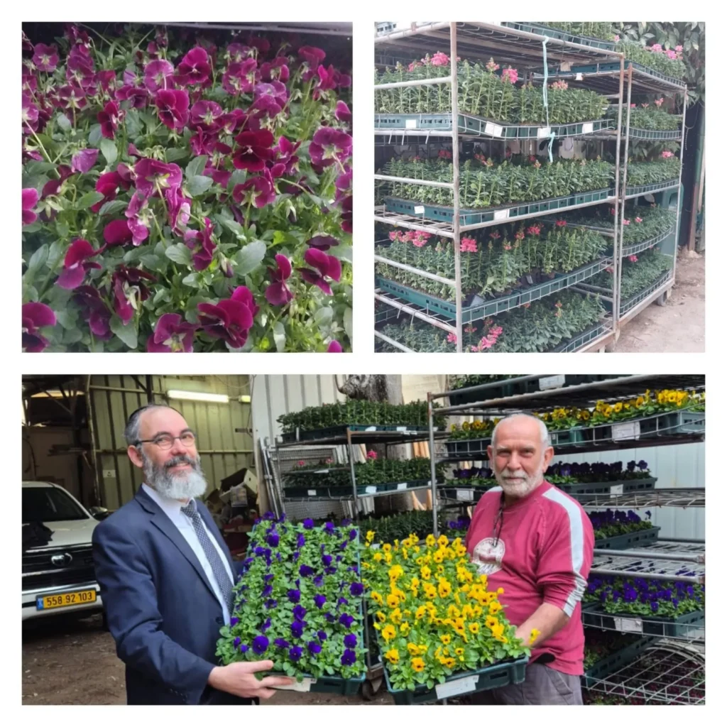 מנהל מחלקת גני ילדים הרב יוסף ומנהל מחלקת נטיעות צביקה פוזננסקי