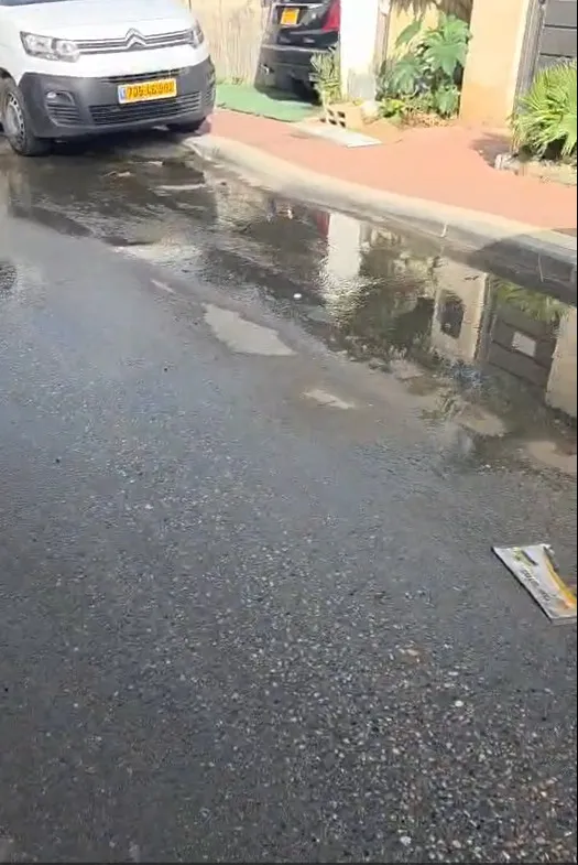 הצצה לרחוב