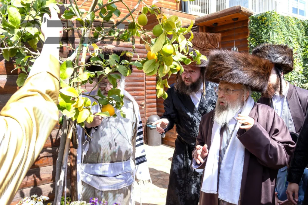 'כַּאֲשֶׁר זָכִינוּ לְסַדֵּר אוֹתוֹ': תיעוד מסכם חג הפסח בחצר הקודש פינסק קרלין