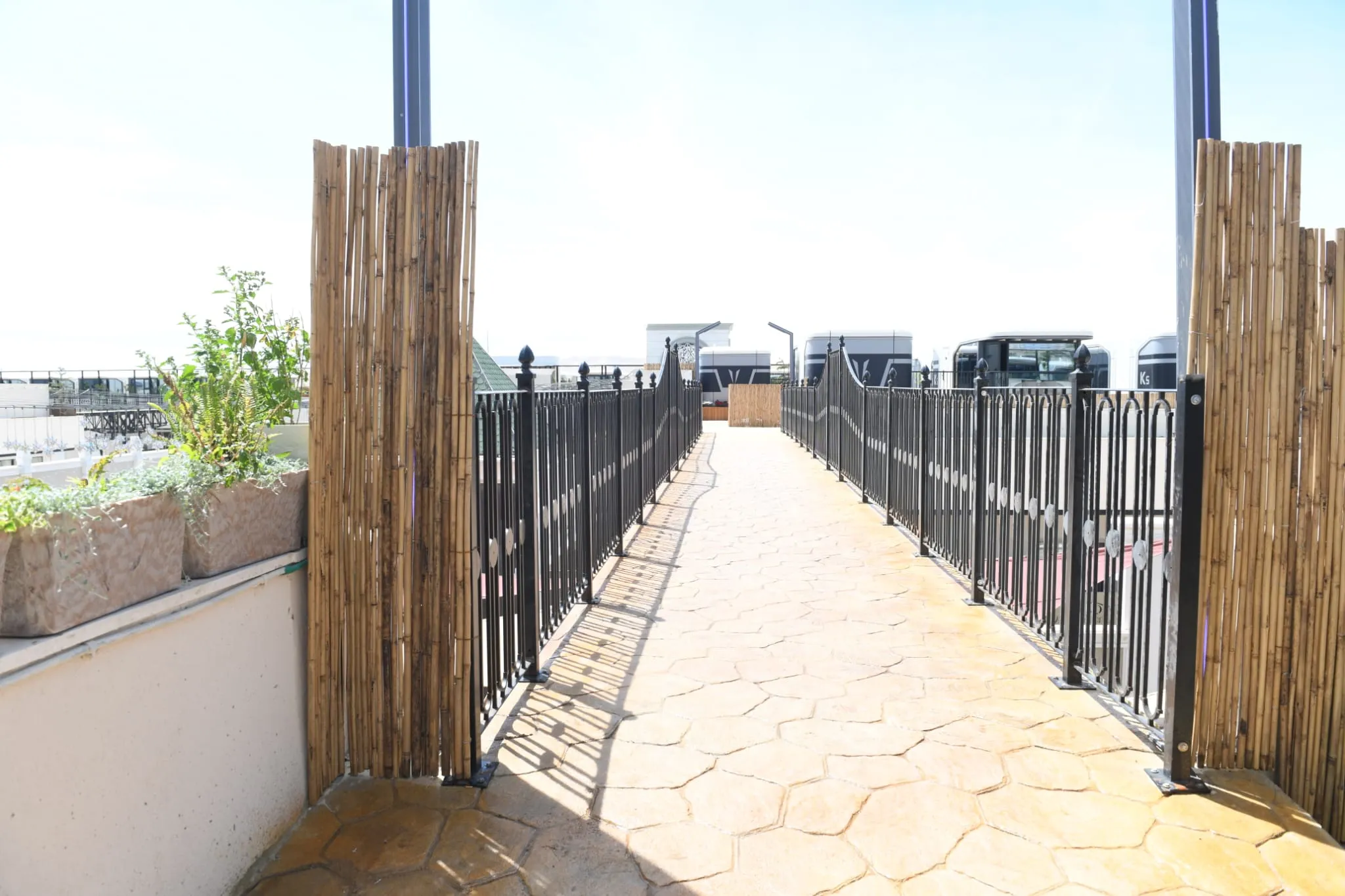 שבת מיוחדת בעלזא