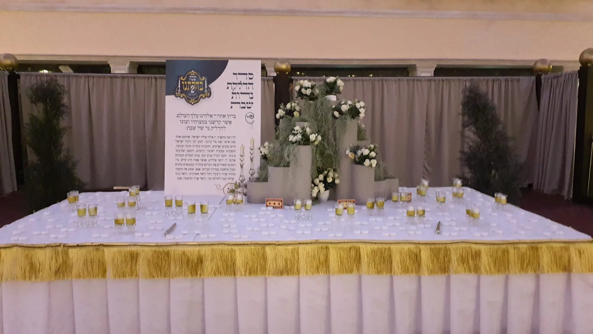 שבת מיוחדת בעלזא