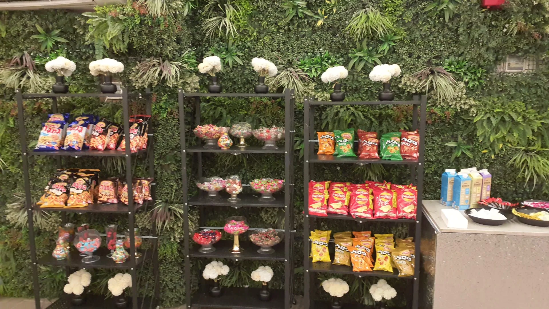 שבת מיוחדת בעלזא