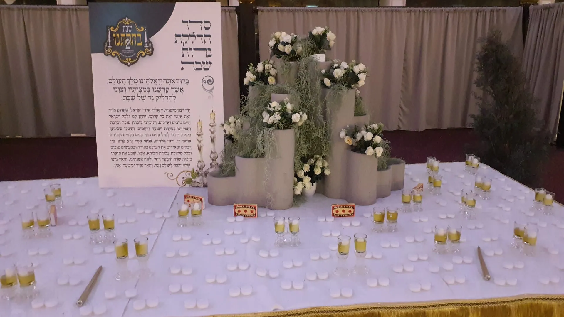 שבת מיוחדת בעלזא