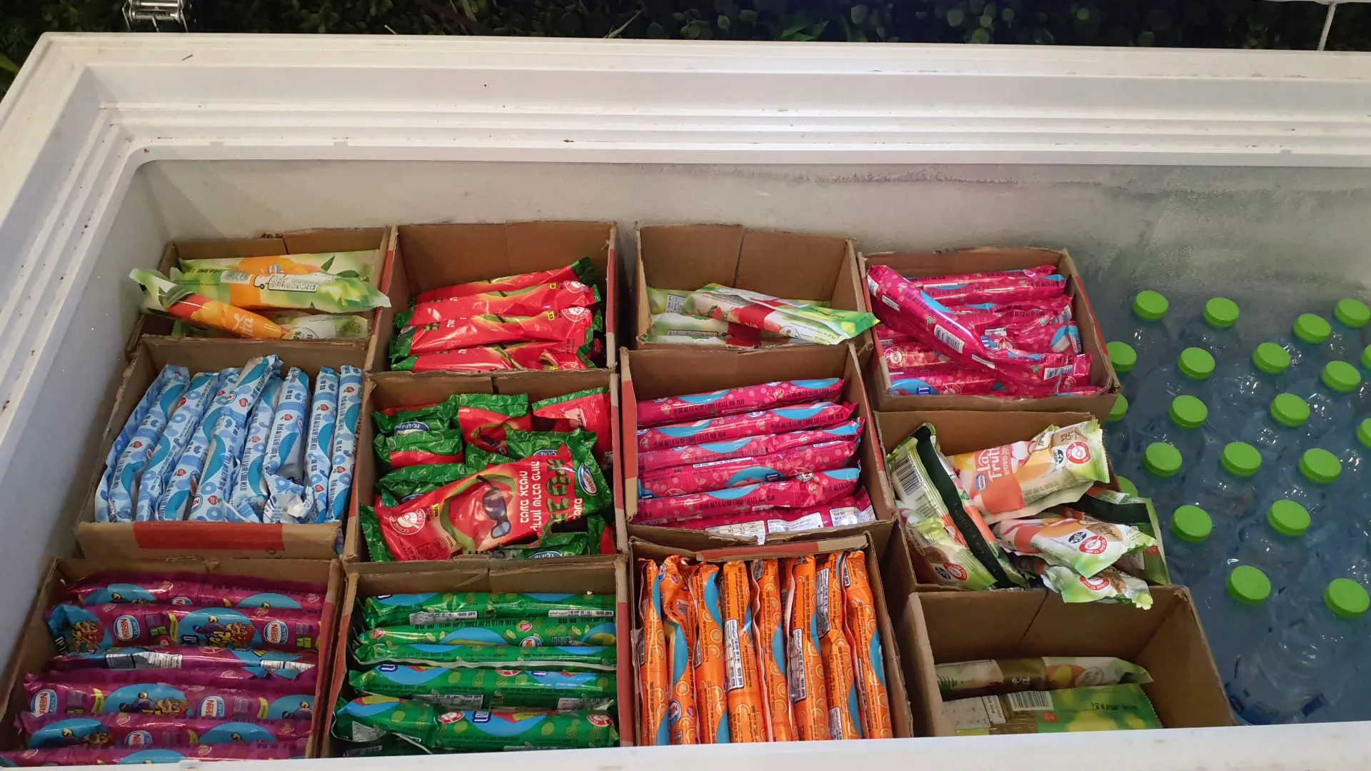 שבת מיוחדת בעלזא