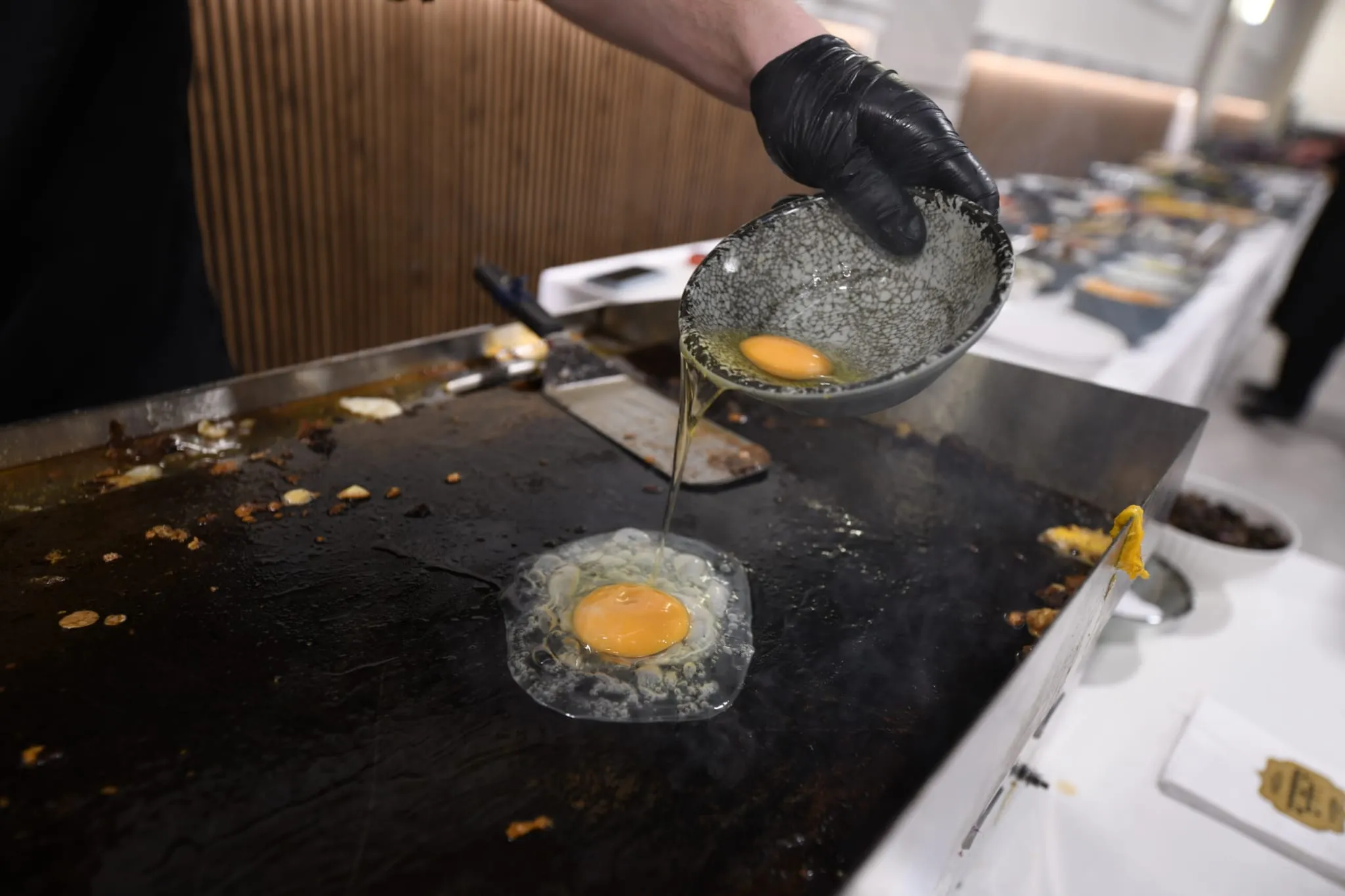 שבת מיוחדת בעלזא