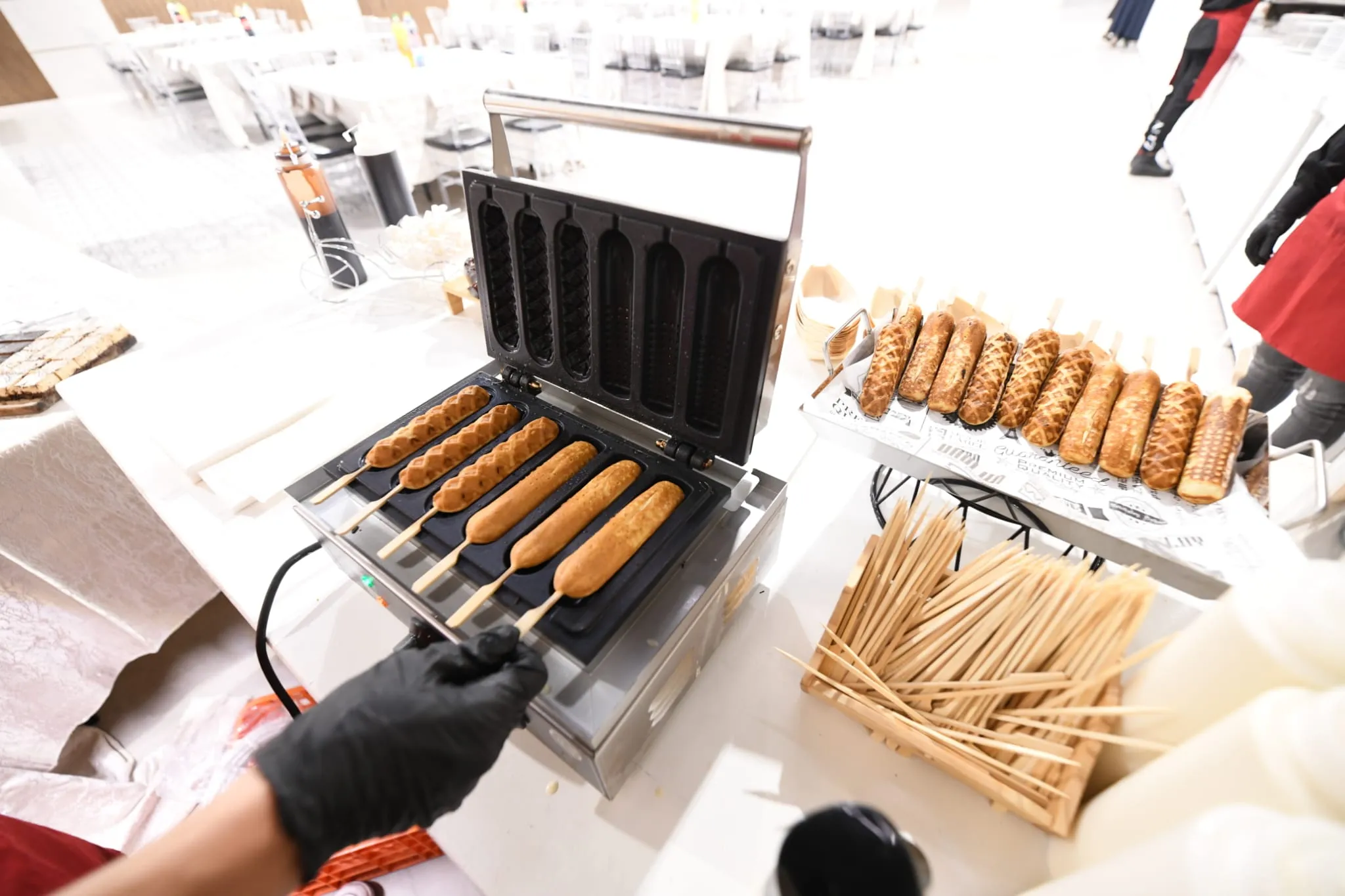 שבת מיוחדת בעלזא