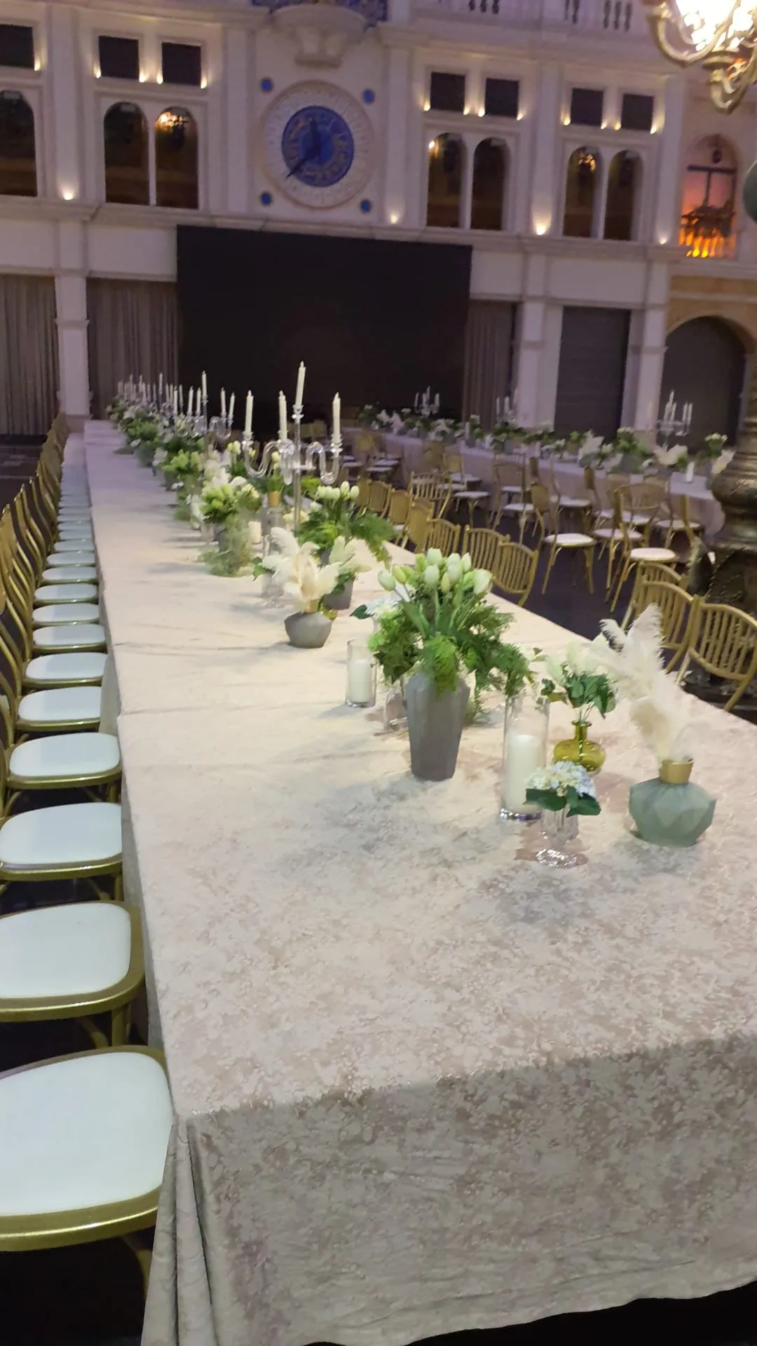 שבת מיוחדת בעלזא