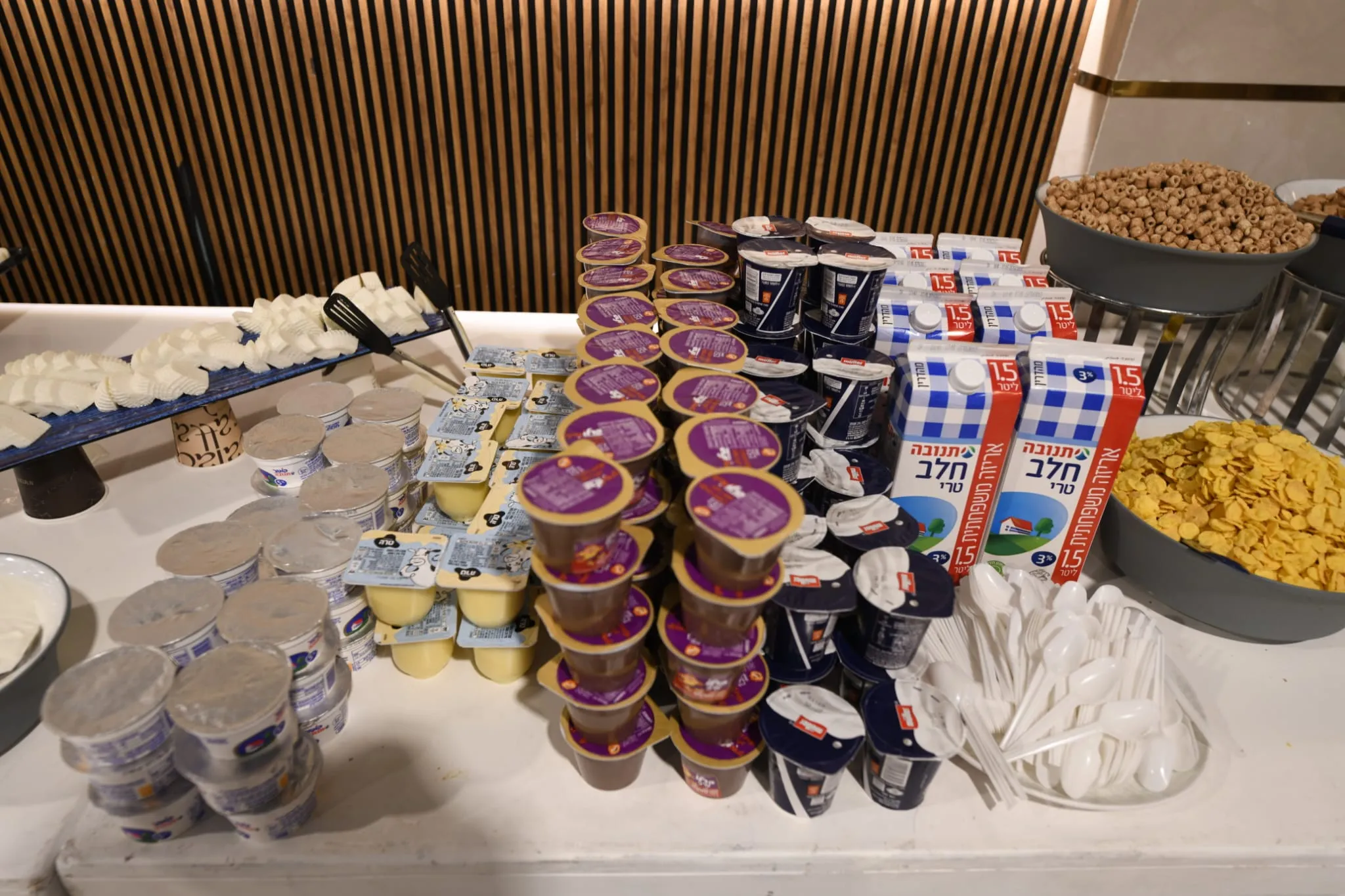 שבת מיוחדת בעלזא