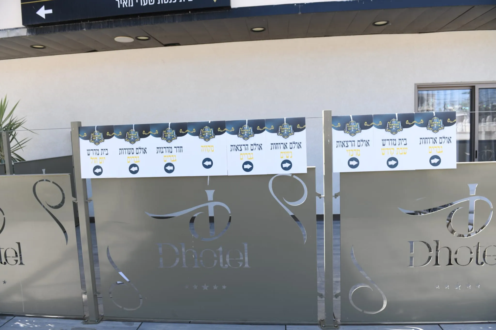 שבת מיוחדת בעלזא