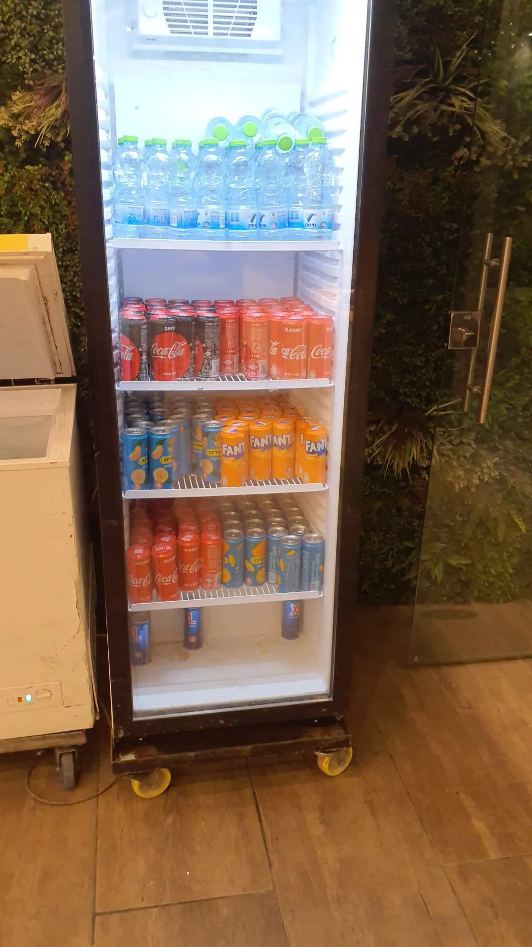 שבת מיוחדת בעלזא