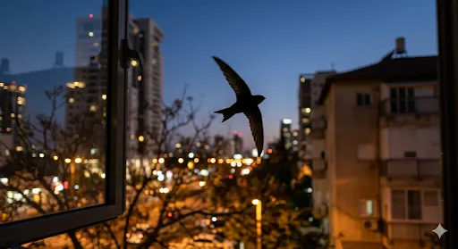 משפחה בני ברקית דיווחה על עטלף שחדר לביתה. אך זה לא היה עטלף