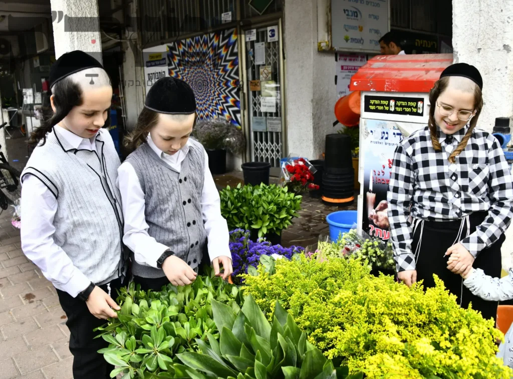 מראות מערב חג השבועות בעיר התורה והחסידות בני ברק I גלריה