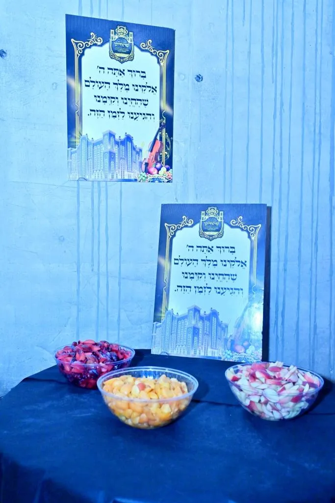 המרכז עולמי ויזניץ