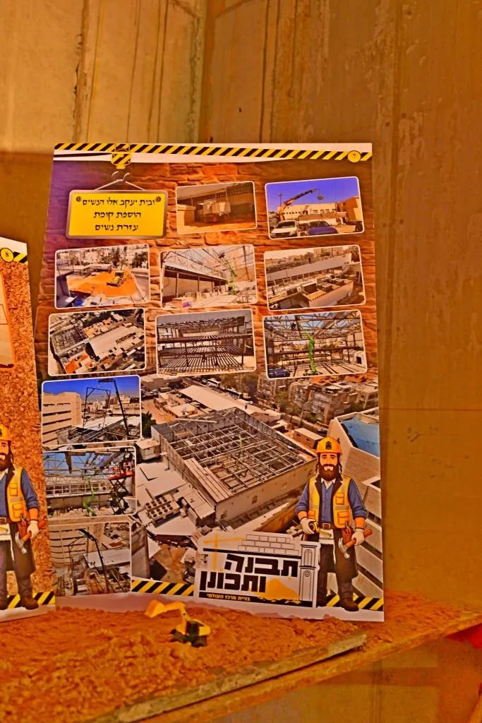 המרכז עולמי ויזניץ