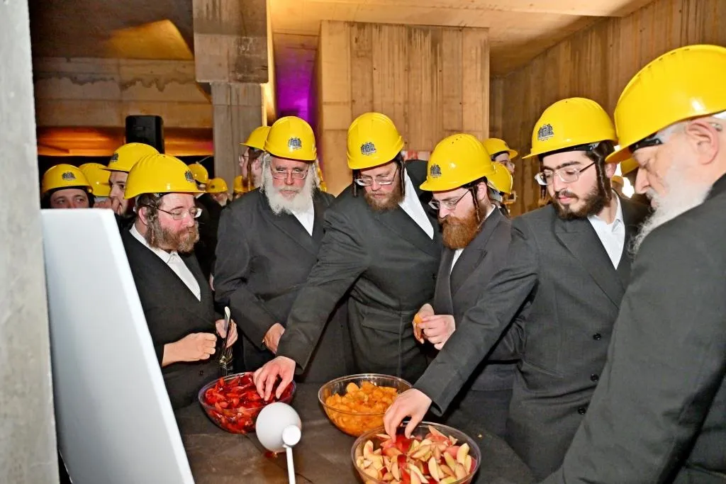 המרכז עולמי ויזניץ