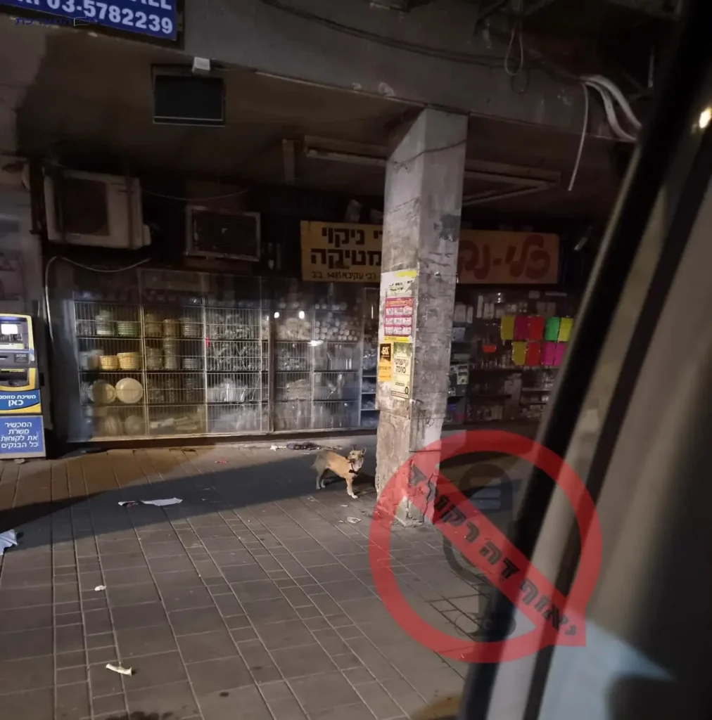 תן עם גורים מטיל אימה על תושבי רחוב חירות