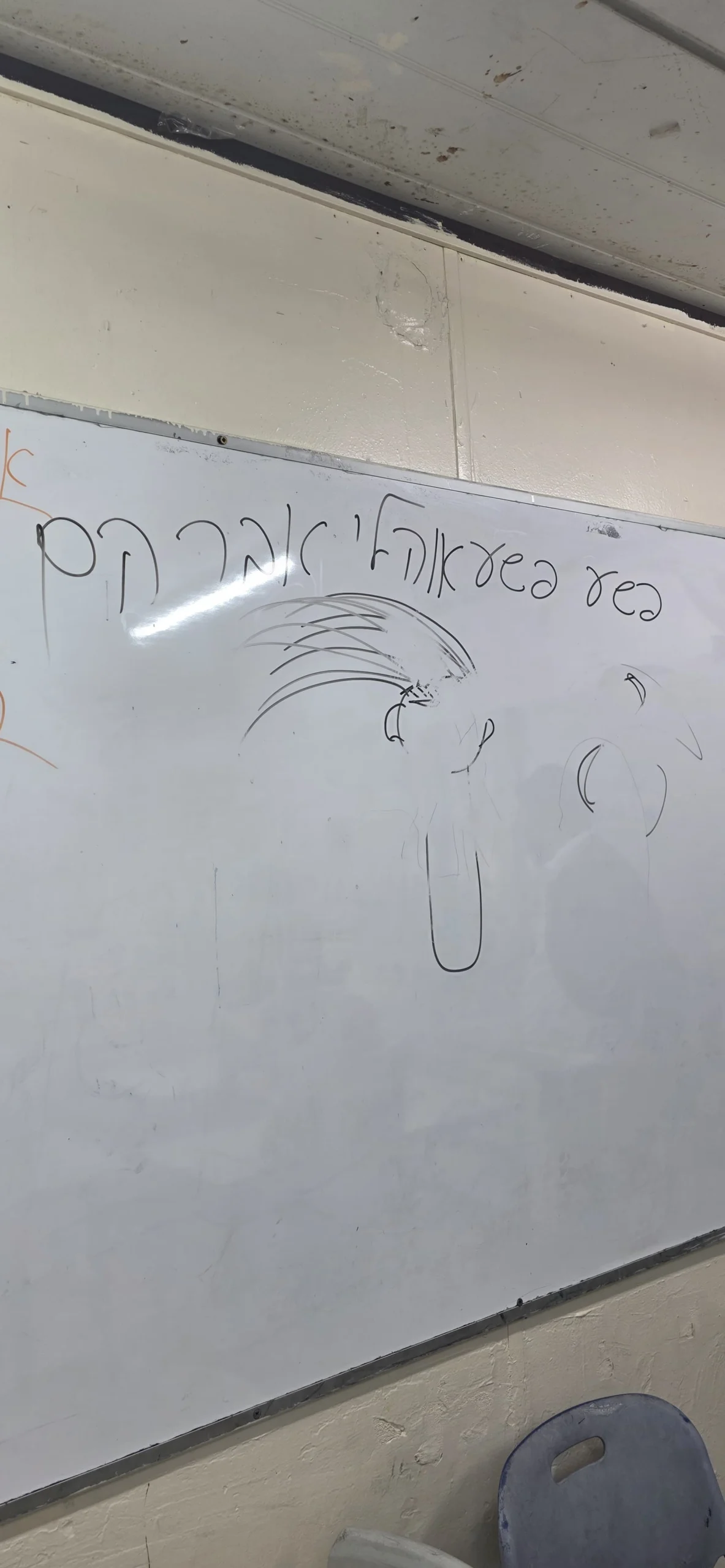 הפריצה לתלמוד תורה בשבת