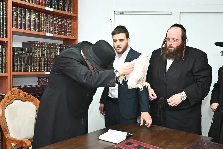 הגרמה הירש בעריכת כפרות