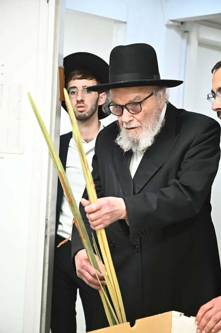 הגרמה הירש בעריכת כפרות