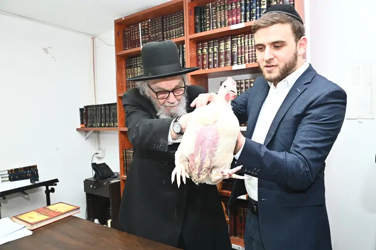 הגרמה הירש בעריכת כפרות