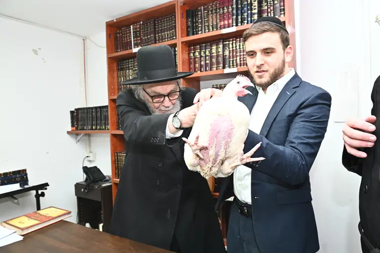 הגרמה הירש בעריכת כפרות